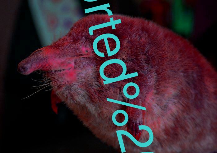 ported to